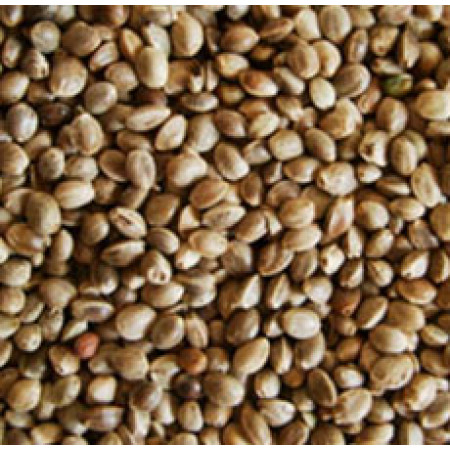 HEMP SEED WHOLE