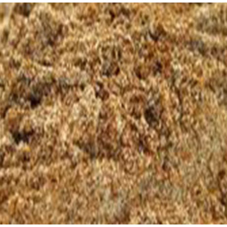 MILKTHISTLE SEED POWDER