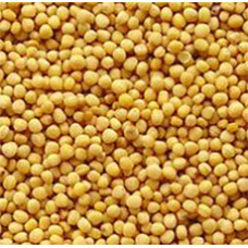 MUSTARD SEED WHOLE YELLOW