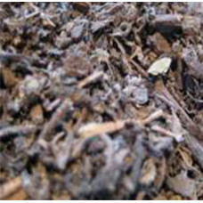 PATCHOULI LEAVES CUT AND SIFTED