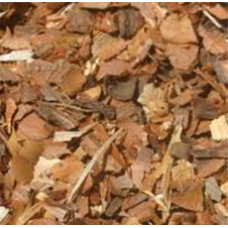 WHITE PINE BARK