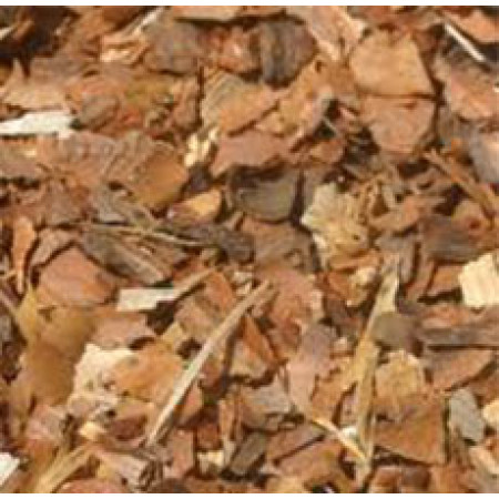 WHITE PINE BARK