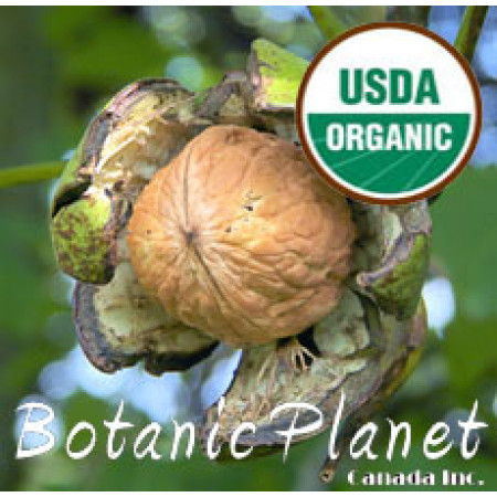 Walnut Oil ORGANIC (USA)