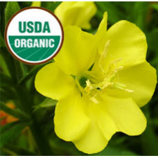 Evening Primrose Oil ORGANIC