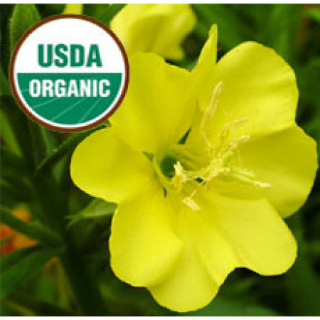 Evening Primrose Oil ORGANIC