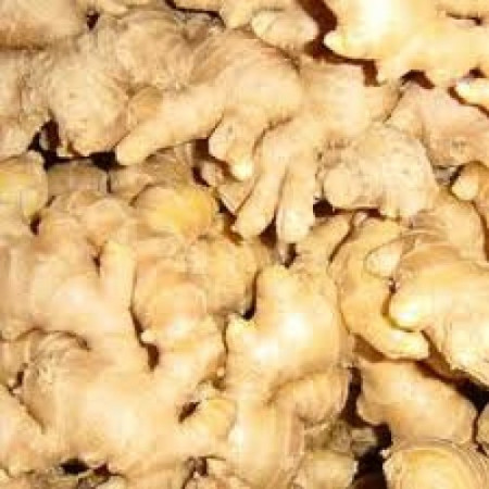 Ginger Essential Oil (India) organic