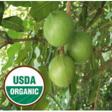 Macadamia Nut Oil Virgin ORGANIC