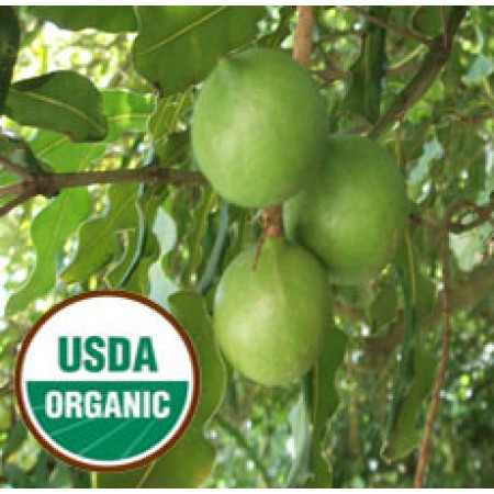 Macadamia Nut Oil Virgin ORGANIC