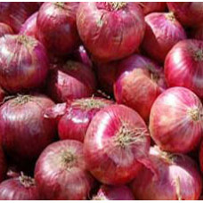 Onion Essential Oil