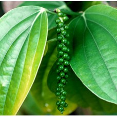 Black Pepper Essential Oil (India)