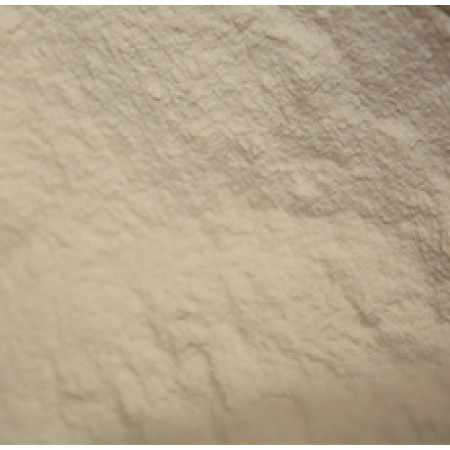 XANTHAN GUM POWDER